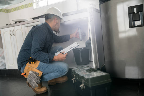 Best Plumbing Inspection Services  in Albany, WI